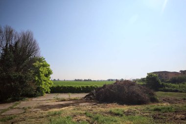 İtalya 'nın kırsal kesimlerinde güneşli bir günde bitkilerden yapılmış bir çitin arkasında ufka kadar uzanan bir mısır tarlası olan ağaçlarla çevrili beton kare.