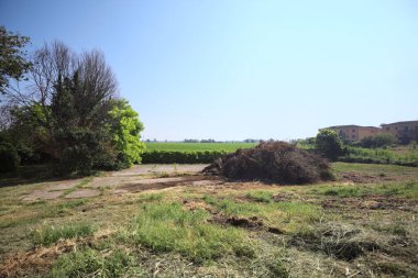 İtalya 'nın kırsal kesimlerinde güneşli bir günde bitkilerden yapılmış bir çitin arkasında ufka kadar uzanan bir mısır tarlası olan ağaçlarla çevrili beton kare.