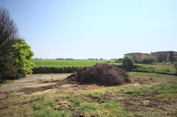 İtalya 'nın kırsal kesimlerinde güneşli bir günde bitkilerden yapılmış bir çitin arkasında ufka kadar uzanan bir mısır tarlası olan ağaçlarla çevrili beton kare.