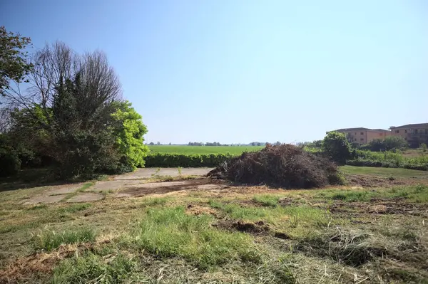 İtalya 'nın kırsal kesimlerinde güneşli bir günde bitkilerden yapılmış bir çitin arkasında ufka kadar uzanan bir mısır tarlası olan ağaçlarla çevrili beton kare.