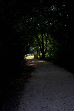 Gölgedeki patika, üzerinde bir parkta yayılan ağaçların oluşturduğu.