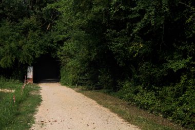 Gölün kenarındaki toprak patika ve gölgedeki bir korunun girişine giden ağaçlarla çevrili.