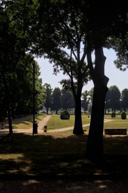 Bir köşeden görünen ve ağaçların ve bankların siluetleriyle çerçevelenmiş kavak ağaçlarıyla çevrili bir meydan.