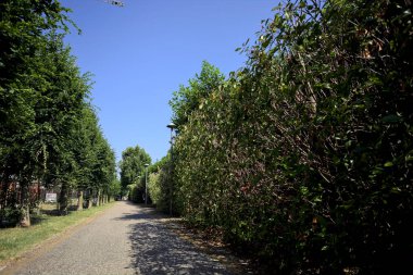 Güneşli bir günde İtalyan kırsalının yerleşim bölgesinde ağaçlarla çevrili bisiklet yolu.