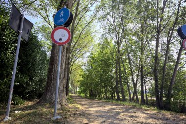 İtalya kırsalında güneşli bir günde, her iki tarafında gölgeler olan ağaçlarla çevrili patika.
