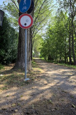 İtalya kırsalında güneşli bir günde, her iki tarafında gölgeler olan ağaçlarla çevrili patika.