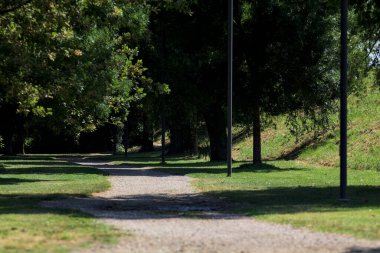 Güneşli bir günde, sınırındaki ağaçların gölgeleri yol göstermiş.