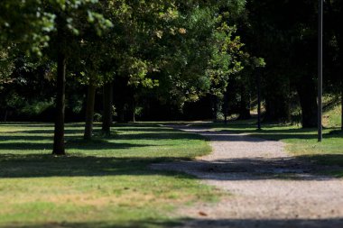 Güneşli bir günde, sınırındaki ağaçların gölgeleri yol göstermiş.