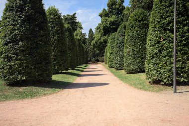 Güneşli bir günde, bir parkta budanmış bitkiler ve sokak lambalarıyla çevrili bir yol.