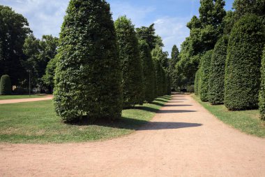 Güneşli bir günde, bir parkta budanmış bitkiler ve sokak lambalarıyla çevrili bir yol.