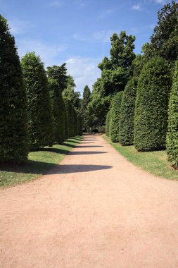 Güneşli bir günde, bir parkta budanmış bitkiler ve sokak lambalarıyla çevrili bir yol.