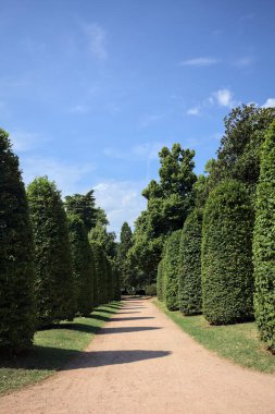Güneşli bir günde, bir parkta budanmış bitkiler ve sokak lambalarıyla çevrili bir yol.