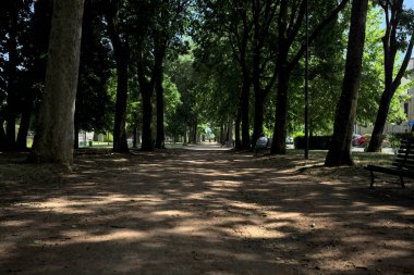 Güneşli bir günde, bir İtalyan kasabasının parkında ağaç tepe örtüsünün oluşturduğu gölgede iz.