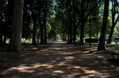Güneşli bir günde, bir İtalyan kasabasının parkında ağaç tepe örtüsünün oluşturduğu gölgede iz.
