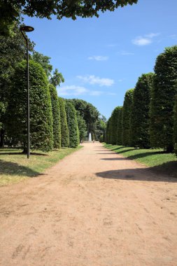 Ağaçlarla çevrili patika ve bitkilerle çevrili. Parkta bir çeşme var.