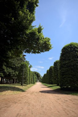 Ağaçlarla çevrili patika ve bitkilerle çevrili. Parkta bir çeşme var.