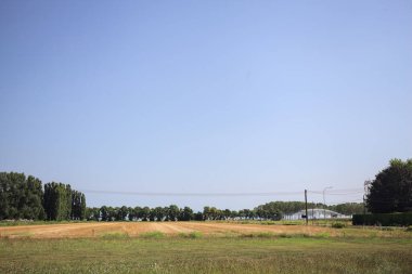 Ufukta ağaçlar görünen buğday tarlaları güneşli bir günde açık gökyüzü ile İtalya kırsalında