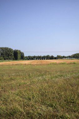 Ufukta ağaçlar görünen buğday tarlaları güneşli bir günde açık gökyüzü ile İtalya kırsalında