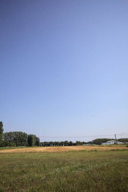 Ufukta ağaçlar görünen buğday tarlaları güneşli bir günde açık gökyüzü ile İtalya kırsalında