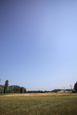 Ufukta ağaçlar görünen buğday tarlaları güneşli bir günde açık gökyüzü ile İtalya kırsalında