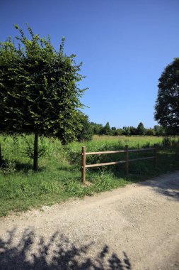 Yol ve ahşap korkuluklar, güneşli bir günde bir parktaki çayırın yanındaki su deresinin üzerinde.