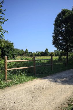 Yol ve ahşap korkuluklar, güneşli bir günde bir parktaki çayırın yanındaki su deresinin üzerinde.