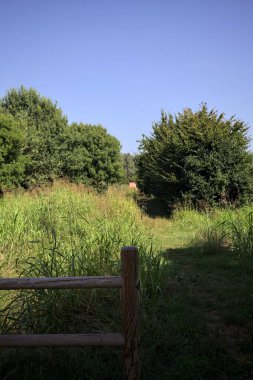 İtalya kırsalındaki bir parkta bir sıra ağaçla çevrili bir su akıntısının kenarındaki patika.