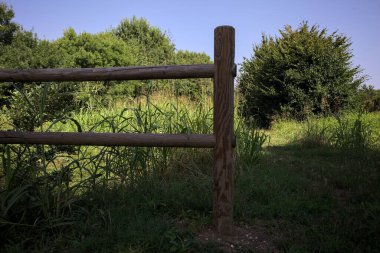 İtalya kırsalındaki bir parkta bir sıra ağaçla çevrili bir su akıntısının kenarındaki patika.