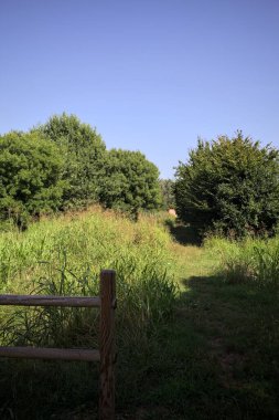 İtalya kırsalındaki bir parkta bir sıra ağaçla çevrili bir su akıntısının kenarındaki patika.