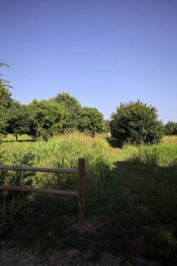İtalya kırsalındaki bir parkta bir sıra ağaçla çevrili bir su akıntısının kenarındaki patika.