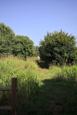 İtalya kırsalındaki bir parkta bir sıra ağaçla çevrili bir su akıntısının kenarındaki patika.