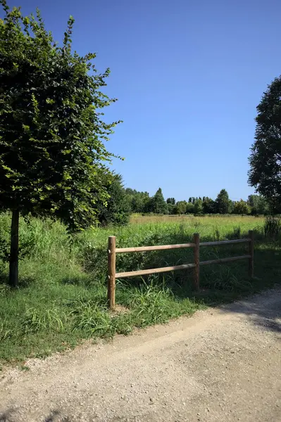 Yol ve ahşap korkuluklar, güneşli bir günde bir parktaki çayırın yanındaki su deresinin üzerinde.