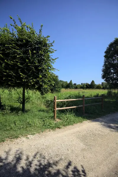 Yol ve ahşap korkuluklar, güneşli bir günde bir parktaki çayırın yanındaki su deresinin üzerinde.