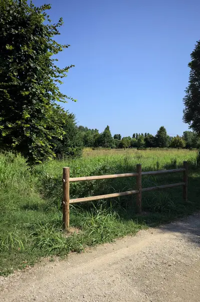 Yol ve ahşap korkuluklar, güneşli bir günde bir parktaki çayırın yanındaki su deresinin üzerinde.