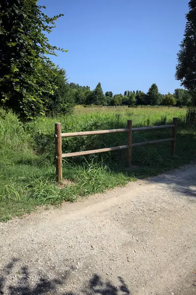 Yol ve ahşap korkuluklar, güneşli bir günde bir parktaki çayırın yanındaki su deresinin üzerinde.