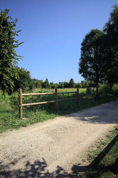 Yol ve ahşap korkuluklar, güneşli bir günde bir parktaki çayırın yanındaki su deresinin üzerinde.