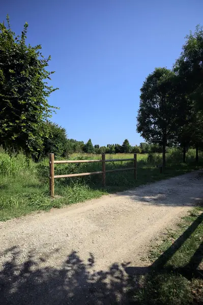 Yol ve ahşap korkuluklar, güneşli bir günde bir parktaki çayırın yanındaki su deresinin üzerinde.