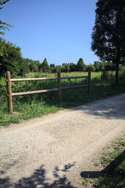Yol ve ahşap korkuluklar, güneşli bir günde bir parktaki çayırın yanındaki su deresinin üzerinde.