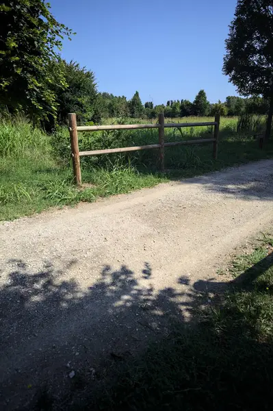 Yol ve ahşap korkuluklar, güneşli bir günde bir parktaki çayırın yanındaki su deresinin üzerinde.