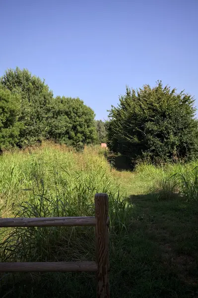 İtalya kırsalındaki bir parkta bir sıra ağaçla çevrili bir su akıntısının kenarındaki patika.