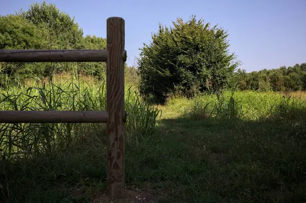 İtalya kırsalındaki bir parkta bir sıra ağaçla çevrili bir su akıntısının kenarındaki patika.