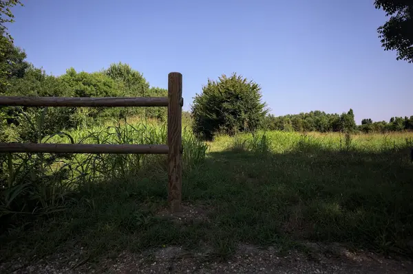 İtalya kırsalındaki bir parkta bir sıra ağaçla çevrili bir su akıntısının kenarındaki patika.