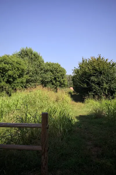 İtalya kırsalındaki bir parkta bir sıra ağaçla çevrili bir su akıntısının kenarındaki patika.