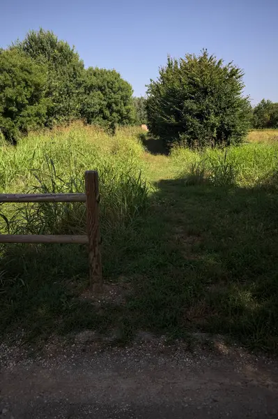 İtalya kırsalındaki bir parkta bir sıra ağaçla çevrili bir su akıntısının kenarındaki patika.