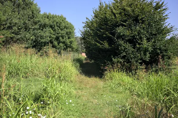 İtalya kırsalındaki bir parkta bir sıra ağaçla çevrili bir su akıntısının kenarındaki patika.