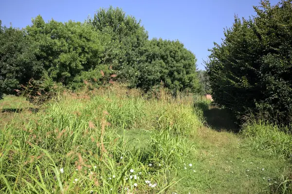 İtalya kırsalındaki bir parkta bir sıra ağaçla çevrili bir su akıntısının kenarındaki patika.