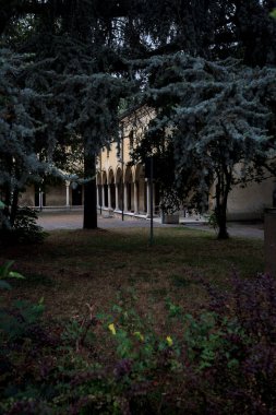 Bahçenin ağaçlarıyla çevrili bir yoldan görünen bir sarayın verandası ve kemer yolu.