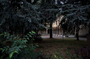 Bahçenin ağaçlarıyla çevrili bir yoldan görünen bir sarayın verandası ve kemer yolu.