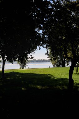 Güneşli bir günde gölgeleri gölgeleyen ağaçlarla çevrili bir göl kıyısında.