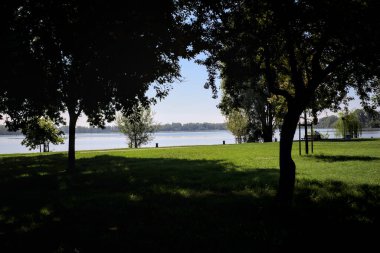 Güneşli bir günde gölgeleri gölgeleyen ağaçlarla çevrili bir göl kıyısında.